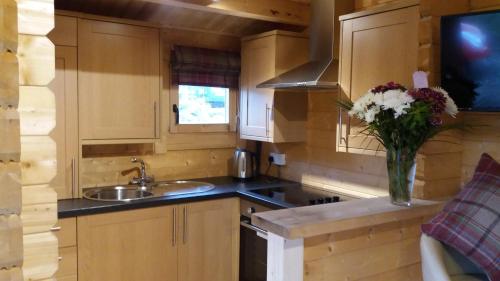Lochinvar - Highland Log Cabin with Private Hot Tub的厨房或小厨房
