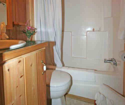 LenhartsvilleRobin Hill Camping Resort Premium Cottage 9的浴室配有卫生间、浴缸和水槽。