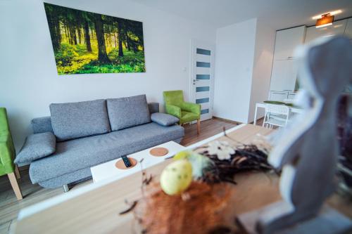 卡尔帕奇Apartament Mięta的客厅配有沙发和桌子