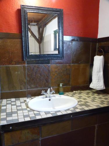 克龙斯塔德Boskoppie Lion & Tiger Reserve的一间带水槽和镜子的浴室