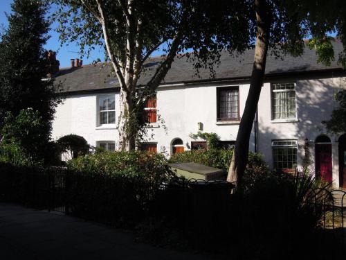 朴次茅斯Pretty Victorian Cottage的前面有一棵树的白色房子