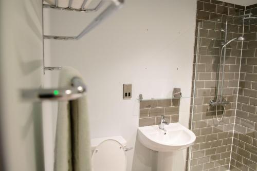 HertingfordburyThe White Horse的一间带水槽和卫生间的小浴室