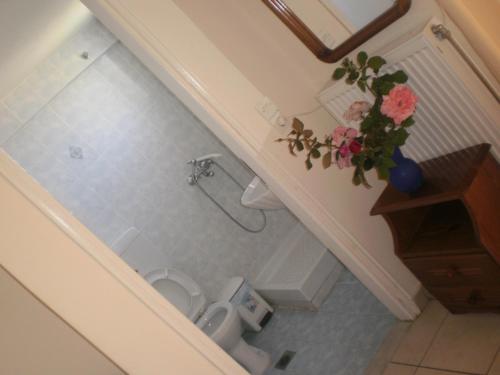 帕特雷迪米特拉旅馆的一间带卫生间的浴室和花瓶
