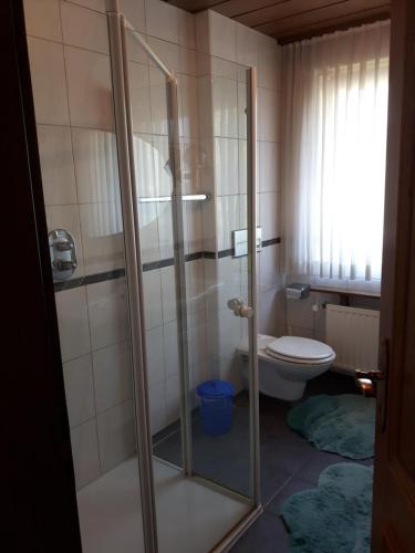 奥尔斯贝格Ferienwohnung Grothoff的带淋浴和卫生间的浴室