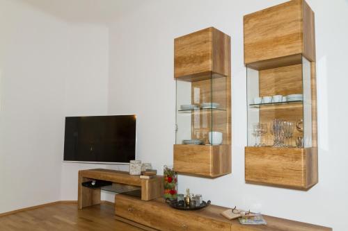 格拉茨Apartment Joanneum的一间带电视和木架的客厅
