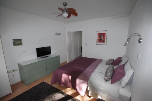 萨格勒布Jazzy Apartment Zagreb的一间卧室配有一张床和一台平面电视