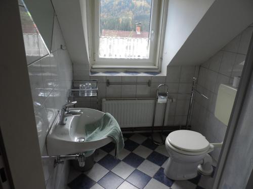 MühldorfGasthof zum Richter的一间带水槽和卫生间的浴室以及窗户。