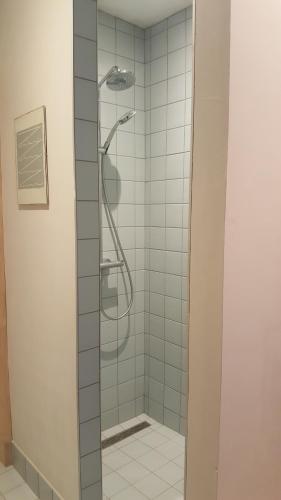 伊普尔Saillant的浴室里设有玻璃门淋浴