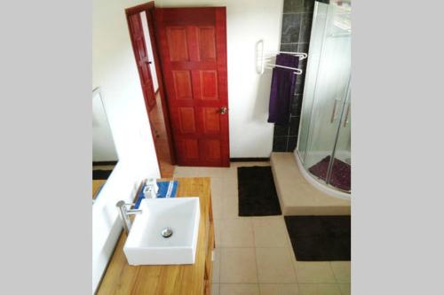 波拉波拉Otemanu Ninamu Fare的一间带水槽和红色门的浴室