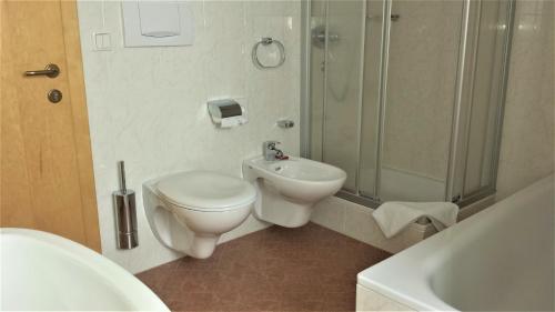 雷西亚Reschnerhof的浴室配有卫生间、淋浴和盥洗盆。