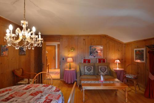 达沃斯苏雷耶公寓别墅的带沙发和吊灯的客厅