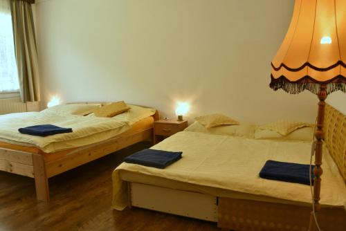 Konvalinka - ubytování v soukromí客房内的一张或多张床位