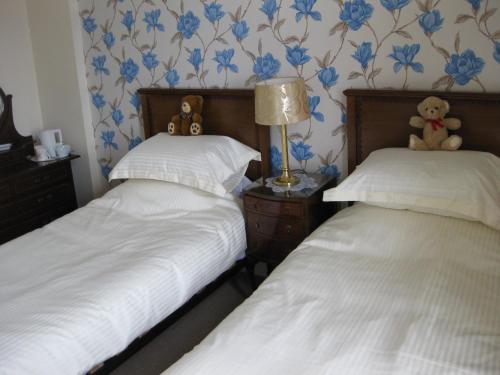 巴基Struan House的卧室内设有两张单人床,卧室内装饰着蓝色的鲜花。