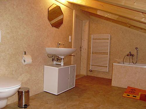 Gsteig格施文德波恩旅馆的一间带水槽和卫生间的浴室