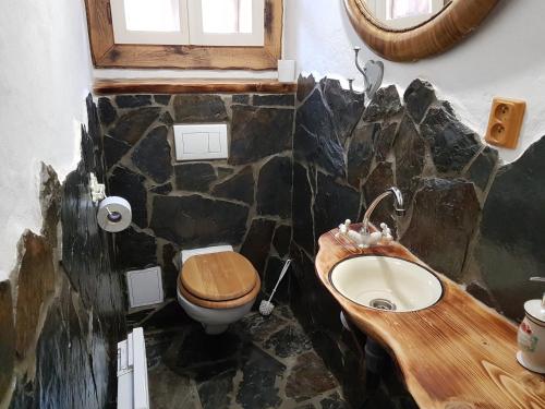 卢奇基Stodola Sonja的石质浴室设有水槽和卫生间