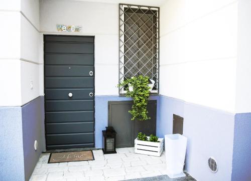 巴罗尼西GiaVa Apartment的蓝白的建筑,有门和植物