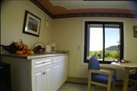 弗农阿巴拉契亚汽车旅馆 的厨房设有窗户和桌椅