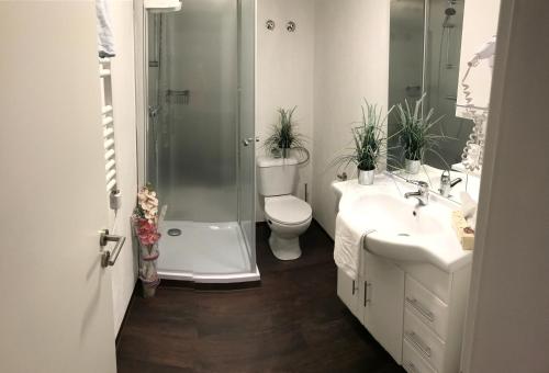巴特马林贝格克莱尔旅馆的带淋浴、卫生间和两个盥洗盆的浴室