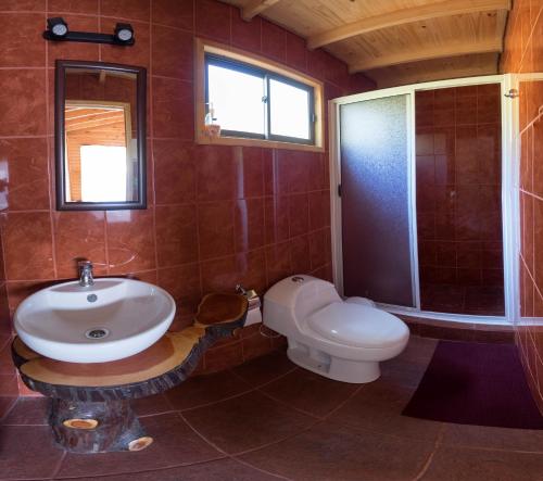 阿尔加罗沃生态卡瓦尼亚斯阿尔加罗沃度假屋的一间带水槽、卫生间和淋浴的浴室