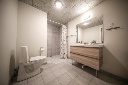 莱姆维Bed and Breakfast Lemvig的一间带卫生间、水槽和镜子的浴室