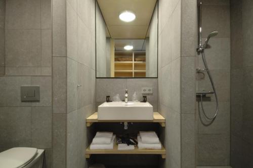 Zeijerveen高尔夫旅舍的一间带水槽、淋浴和卫生间的浴室