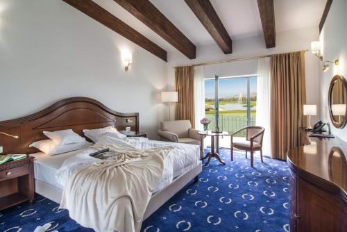 阿尔巴尤利亚Theodora Golf Club的一间设有大床和窗户的酒店客房
