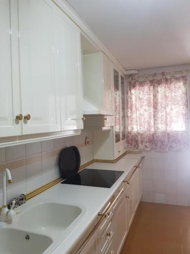 塞维利亚爱德华多拿督公寓的厨房配有白色橱柜、水槽和窗户。
