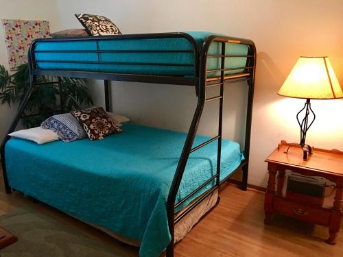 新布朗费尔斯River Run Retreat的一间卧室配有两张双层床和一盏灯。