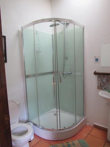 萨兰托卡萨拉埃利安娜宾馆的一间带卫生间的浴室内的玻璃淋浴间