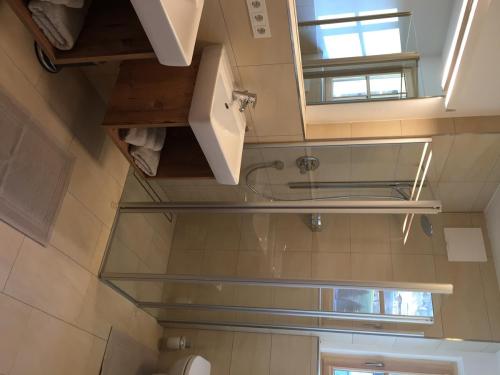萨尔巴赫The Bear's Lair的带淋浴和卫生间的浴室以及窗户。