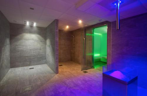 普拉涅村Résidence Prestige Odalys Front de Neige的一间带步入式淋浴间和绿门的浴室