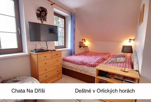 德尔内夫奥里克Chata Na Dříši的一间卧室配有一张床和一个带电视的梳妆台。