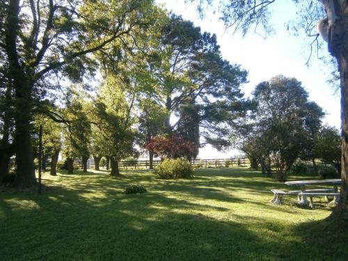 圣安德烈斯德希莱斯Casa De Campo La Huella的一个带野餐桌和树木的公园