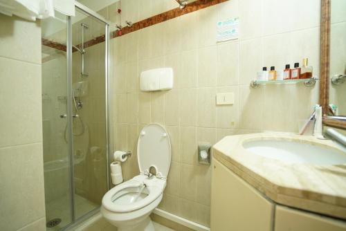 奥特朗托奥特朗托乐查勒海滩度假酒店的浴室配有卫生间、盥洗盆和淋浴。