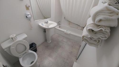 苏圣玛丽北方居民汽车旅馆的白色的浴室设有卫生间和水槽。