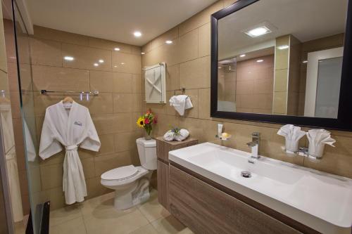 棕榈滩迪维荷兰​​村海滩度假酒店的一间带水槽、卫生间和镜子的浴室
