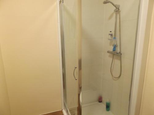 EtruriaCotesheath house的带淋浴的浴室(带玻璃淋浴间)