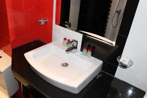 维丁多瑙河酒店的红色墙壁浴室内的白色水槽
