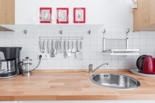 柏林Elegantes 2-Zimmer-Apartment im Kiez von Prenzlauer Berg的厨房配有水槽和台面