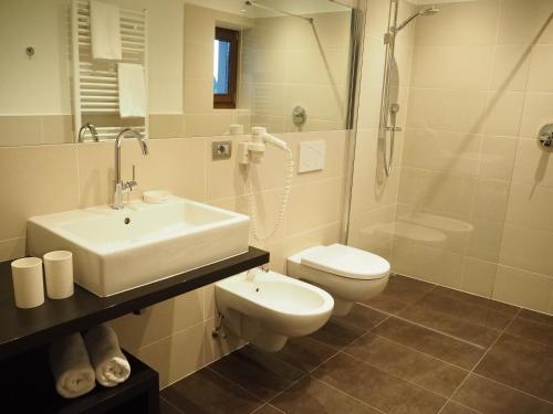 彼得斯堡维塞尔酒店的一间带水槽、卫生间和淋浴的浴室