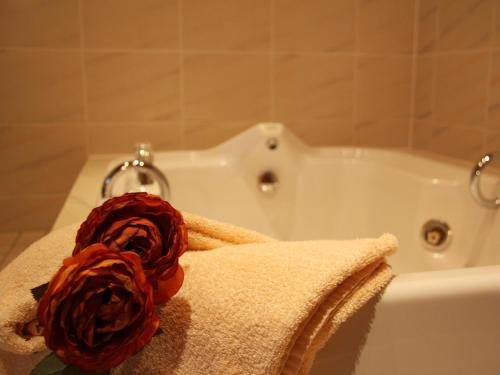 施莱登Hotel Haus Salzberg garni的浴缸顶部的红玫瑰