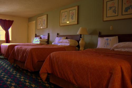 Somerville萨默维尔旅馆及套房的相册照片
