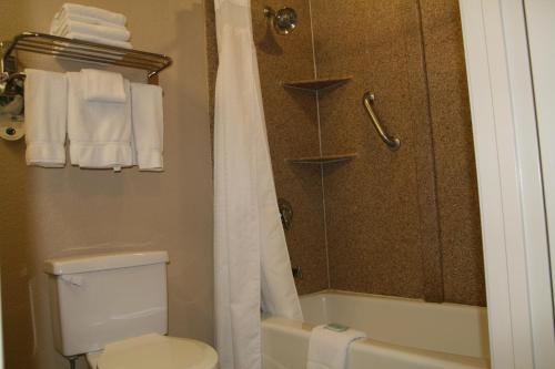 联合市Holiday Inn Express Hotel Union City San Jose, an IHG Hotel的浴室设有卫生间和带毛巾的淋浴。