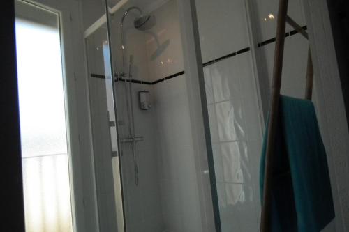 圣普里安海滩Appartement的带淋浴的浴室和玻璃门