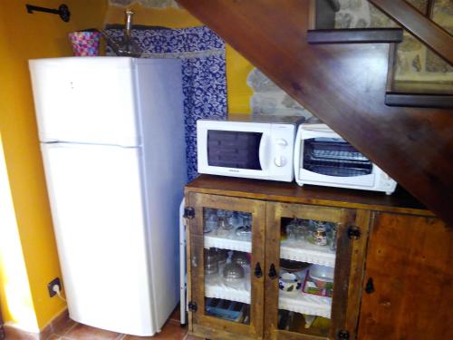 瓦德诺比斯La caseta de Pedris的冰箱旁的微波炉