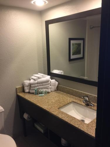 杰克逊维尔温德姆花园酒店 - 杰克逊维尔的浴室配有盥洗盆、镜子和毛巾