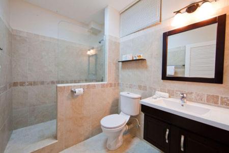 SpeysideBlue Waters Inn的一间带卫生间、水槽和镜子的浴室