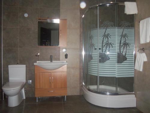 阿纳克利亚棕榈滩酒店的带淋浴、盥洗盆和卫生间的浴室