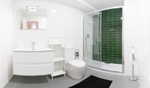 布拉加Bracara Guest House "D. Pedro V"的浴室配有卫生间、盥洗盆和淋浴。