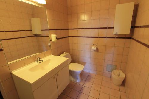 海姆瑟达尔法妮土伦酒店的一间带水槽和卫生间的浴室